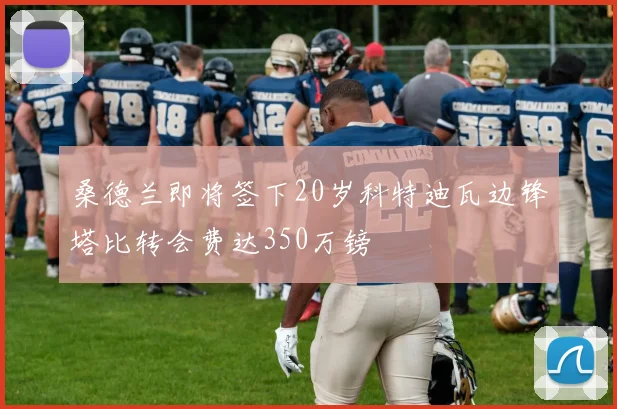 桑德兰即将签下20岁科特迪瓦边锋塔比转会费达350万镑