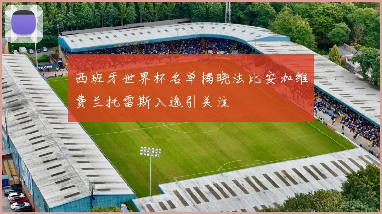 西班牙世界杯名单揭晓法比安加维费兰托雷斯入选引关注